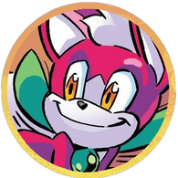 Chip